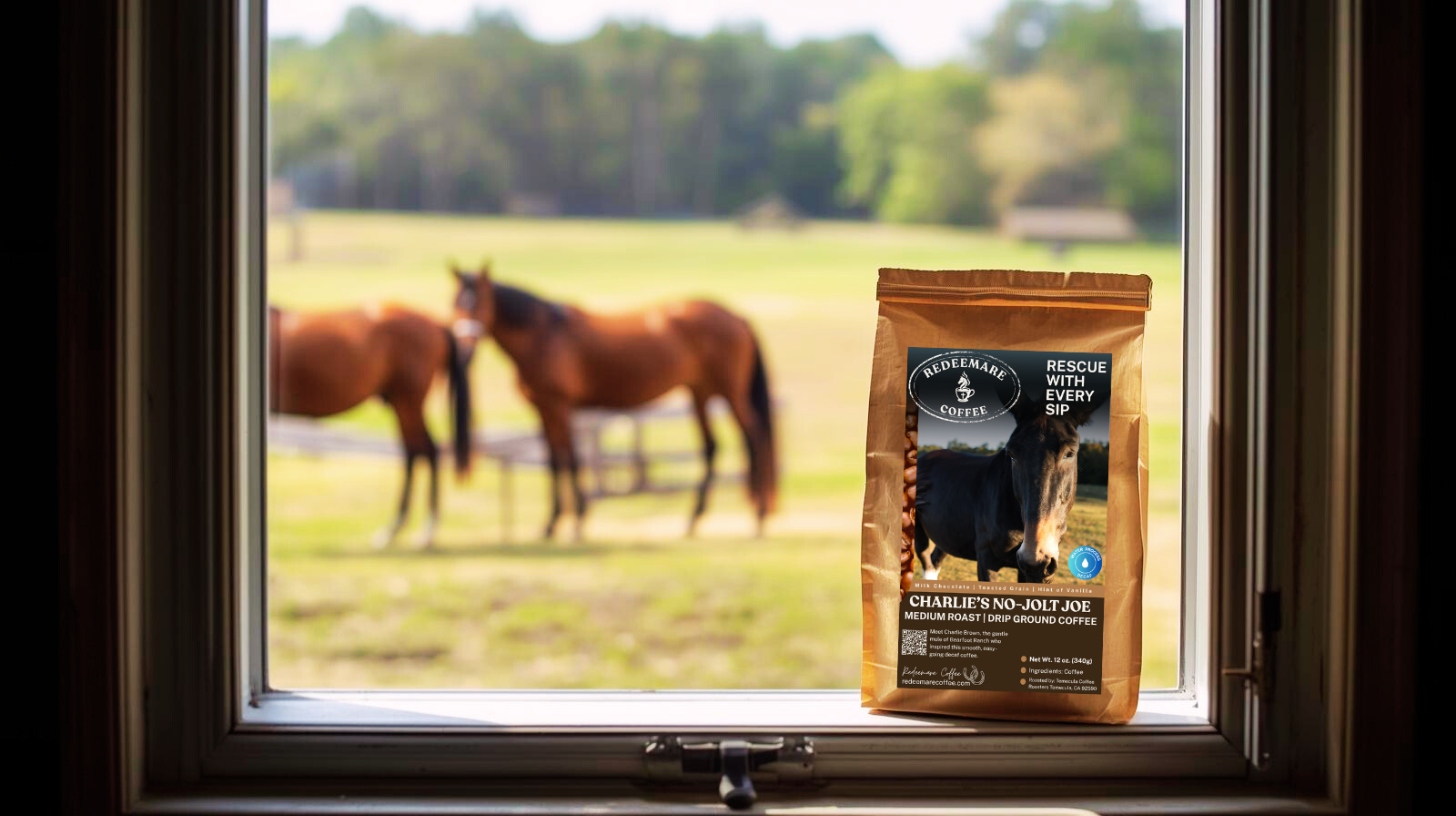 Savor the Flavor, Skip the Jolt: The Pure Art Behind Charlie’s No-Jolt Joe