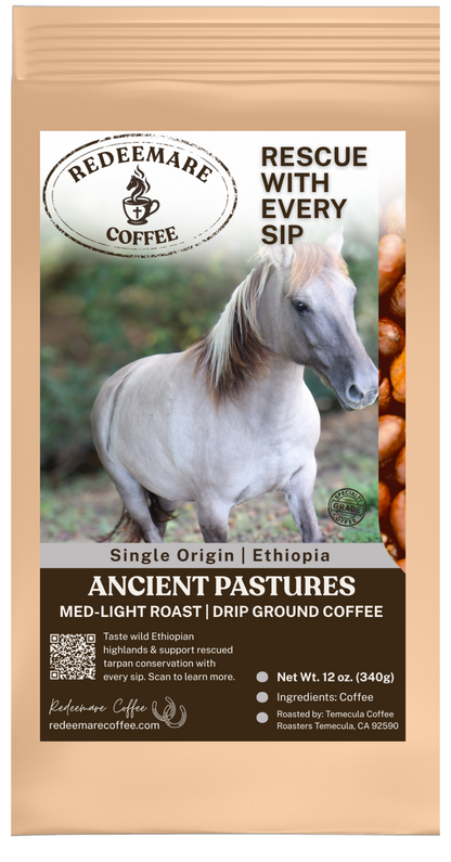 Ancient Pastures Single-Origin Ethiopian Coffee | Medium-Light Roast | Redeemare Coffee