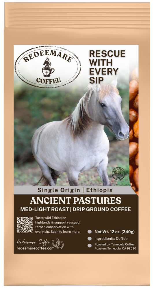 Ancient Pastures Single-Origin Ethiopian Coffee | Medium-Light Roast | Redeemare Coffee
