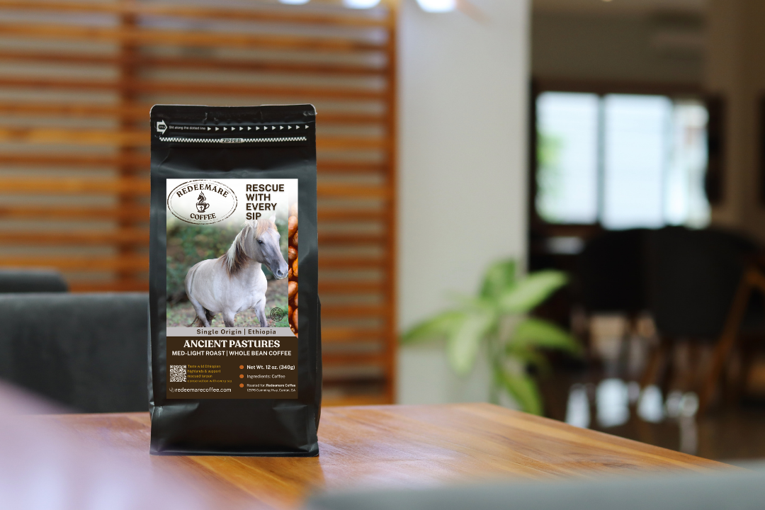 Ancient Pastures Single-Origin Ethiopian Coffee | Medium-Light Roast | Redeemare Coffee